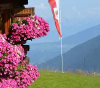 Elferhutte with flag LH